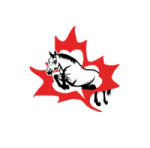 Canadian Connemara Pony Society